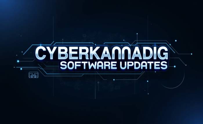 cyberkannadig software updates 2025