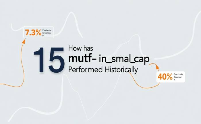 How mutf_in dsp_smal_cap_clpsyq Outperformed the Market
